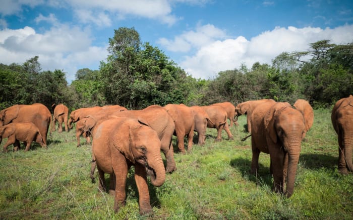 P1680416 - GALLERY.jpg